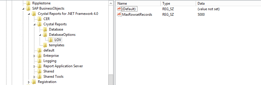 Registry for the Crystal Reports Runtime Engine